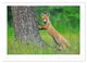 Thumbnail-10