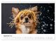 Thumbnail-13