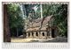 Thumbnail-11