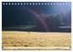 Thumbnail-12