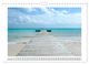 Thumbnail-14