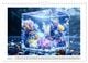 Thumbnail-9
