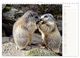 Thumbnail-12