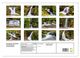 Thumbnail-11
