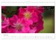 Thumbnail-11