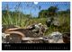 Thumbnail-8