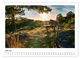 Thumbnail-9