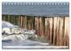 Thumbnail-9