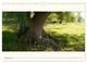 Thumbnail-14