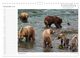 Thumbnail-14
