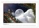 Thumbnail-14
