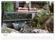 Thumbnail-12