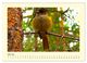 Thumbnail-8