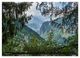 Thumbnail-12