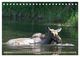 Thumbnail-14