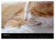 Thumbnail-10
