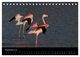 Thumbnail-11