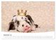 Thumbnail-14