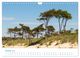 Thumbnail-12