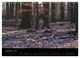 Thumbnail-14
