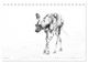 Thumbnail-9