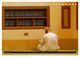 Thumbnail-14