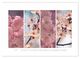 Thumbnail-9