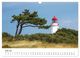 Thumbnail-12