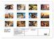 Thumbnail-12