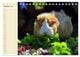 Thumbnail-12