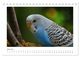 Thumbnail-11
