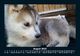 Thumbnail-12
