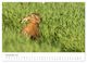 Thumbnail-12