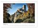 Thumbnail-2