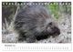 Thumbnail-13