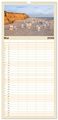 Thumbnail-10
