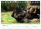 Thumbnail-12