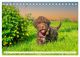 Thumbnail-11