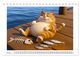 Thumbnail-9