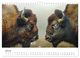 Thumbnail-12