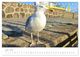 Thumbnail-12