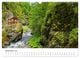 Thumbnail-11