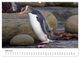 Thumbnail-10