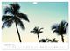 Thumbnail-14