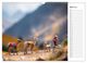 Thumbnail-9
