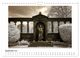 Thumbnail-14