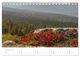 Thumbnail-10
