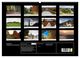 Thumbnail-12