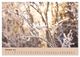 Thumbnail-12