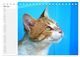 Thumbnail-9